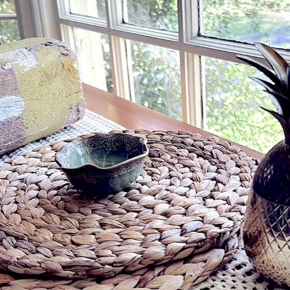 NEW Windowsill SUCCULENT 4" Anthropologie - Picture 9 of 13